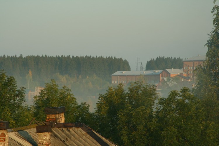 Над землей стелются остатки тумана, изгоняемые первыми лучами еще теплого солнца