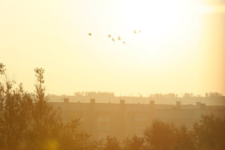 Сказочное утро