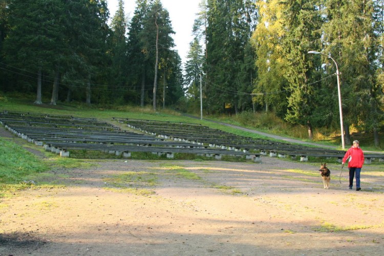 Сиротливые скамейки, заросшие травой