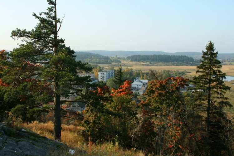 Много маленьких игрушечных домиков