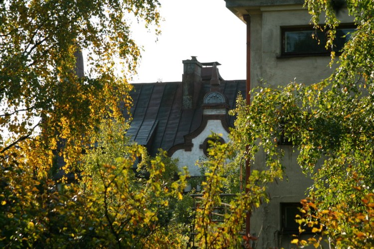 Фигурные крыши