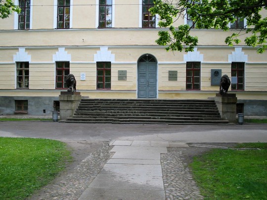 Львы для любви