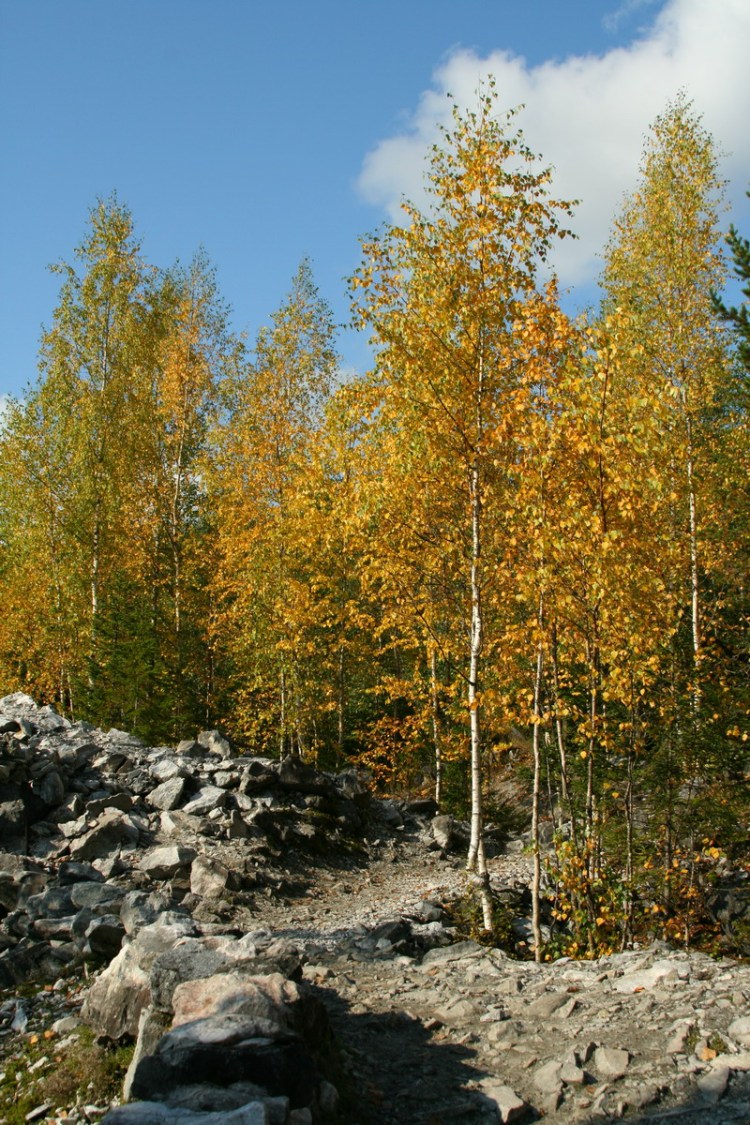 Мраморная крошка