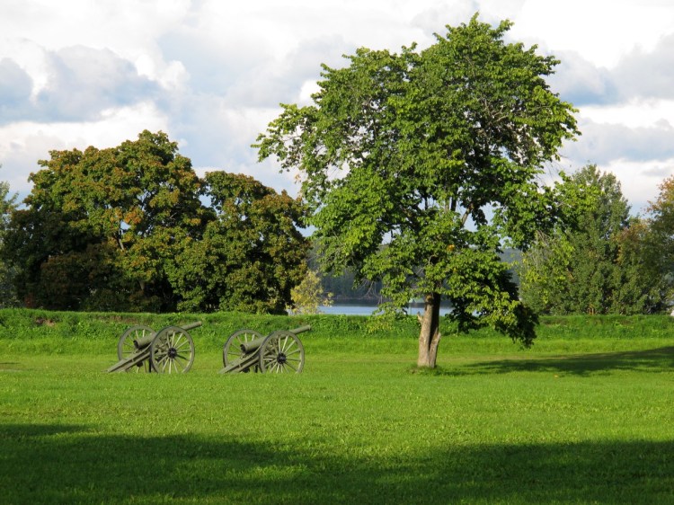 Пушки на фоне зеленой травы, деревьев и озера