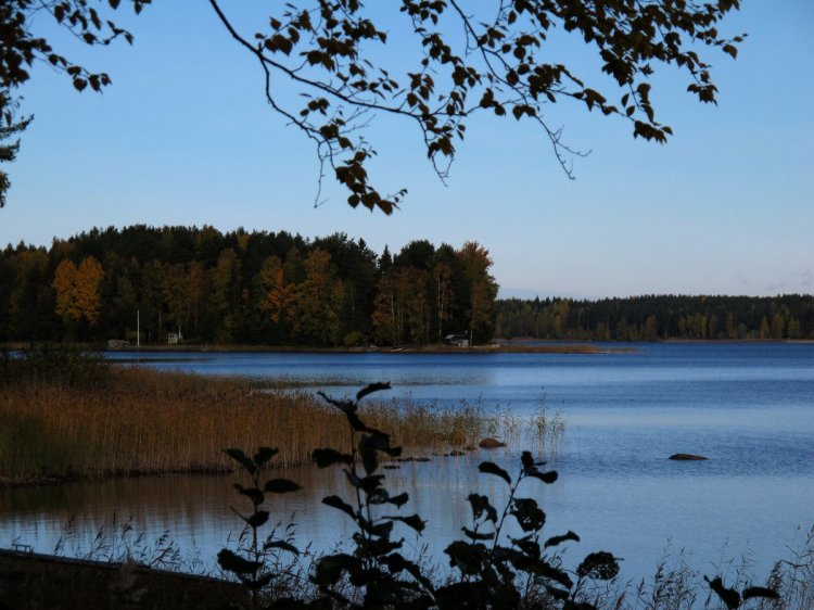 Берег озера с разноцветными деревьями