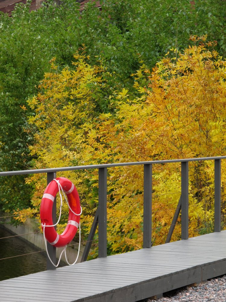 Спасательный круг