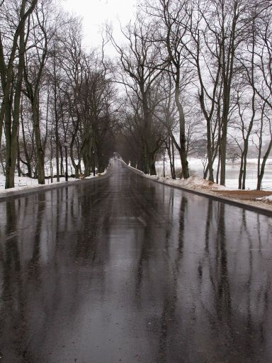 Парковая дорога