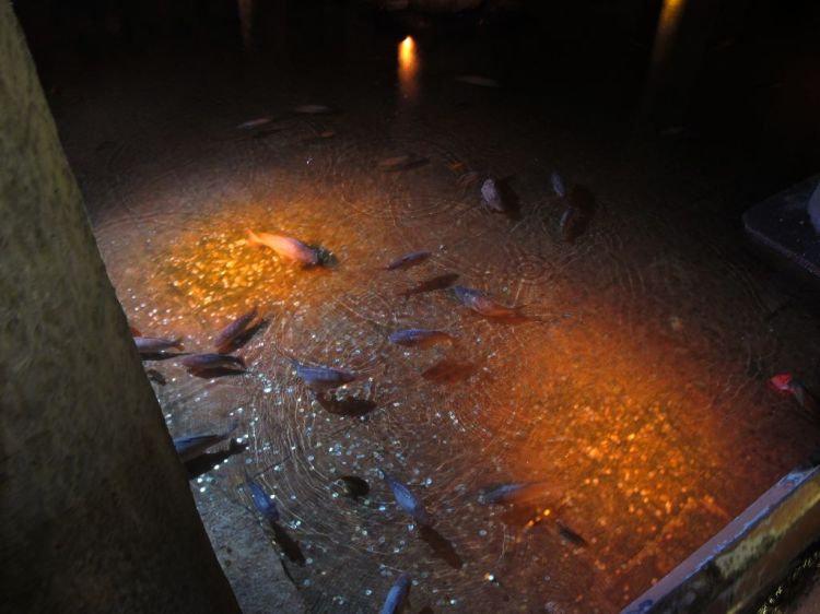 Спасибо им за этот чудесный музей