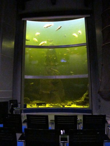 Огромный лекторий возле аквариума