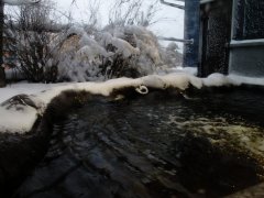 Зимний вид из моренариума