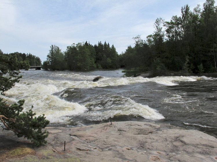 Пороги реки Кюми, в дельте которой расположена усадьба Лонгинкоски