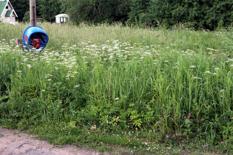 Связь каждому