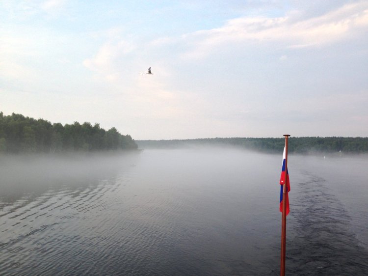 Вечерний туман