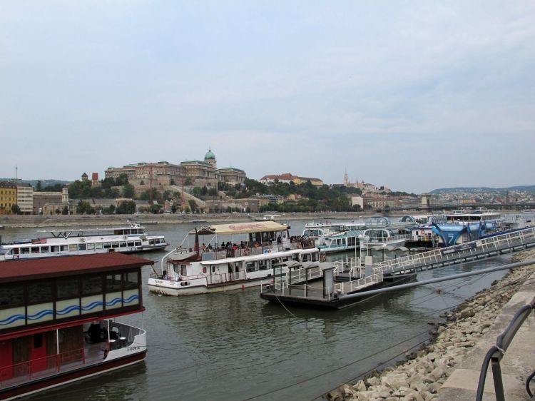 Панорама Буды