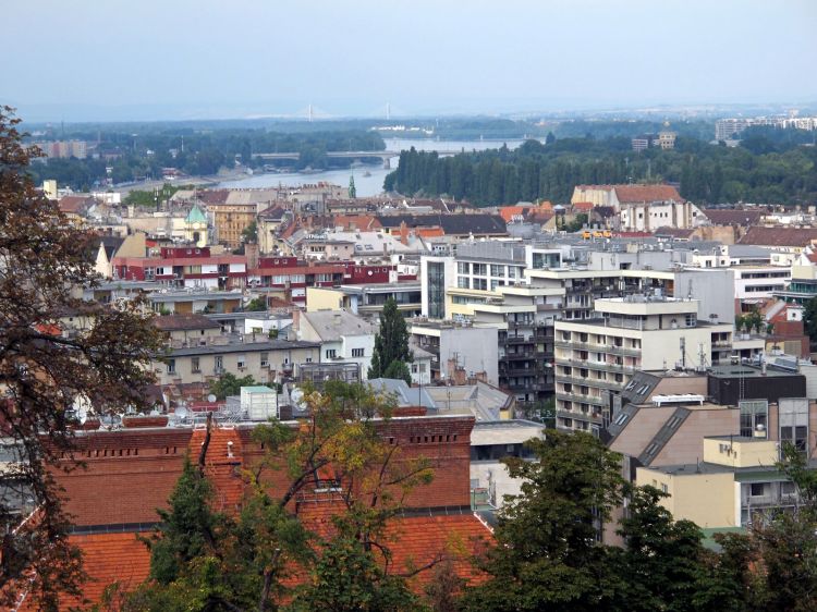 Вид с ворот