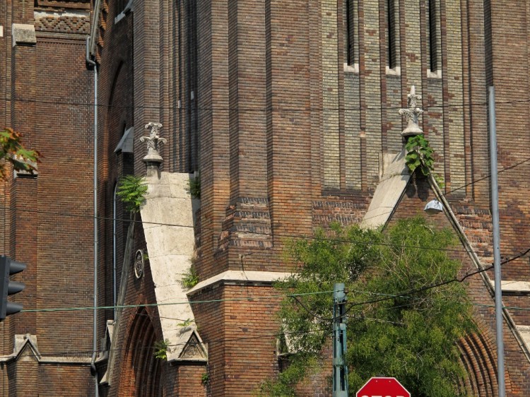 Озеленение