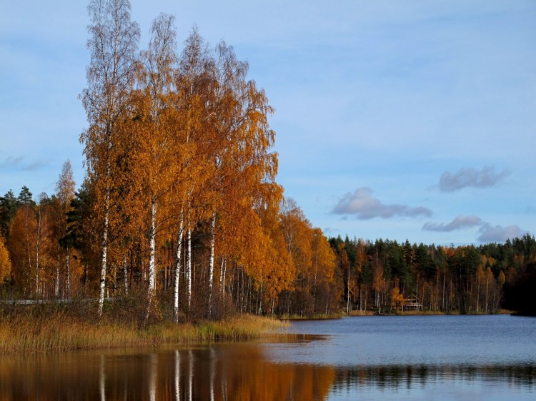 Озеро и дом