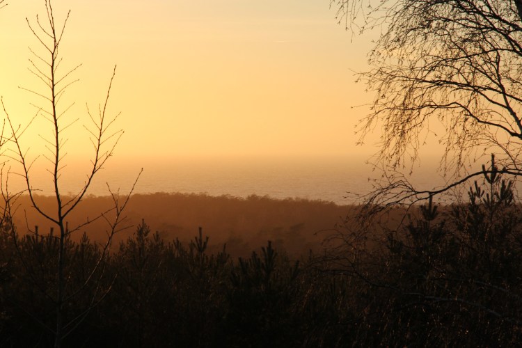 Золотой закат