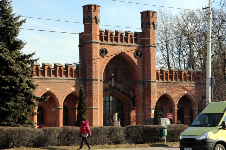 Росгартенские ворота