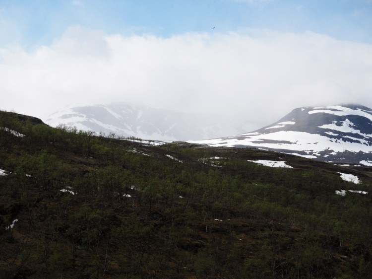 Заоблачные вершины