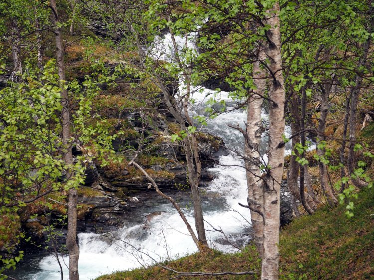 Крутые берега