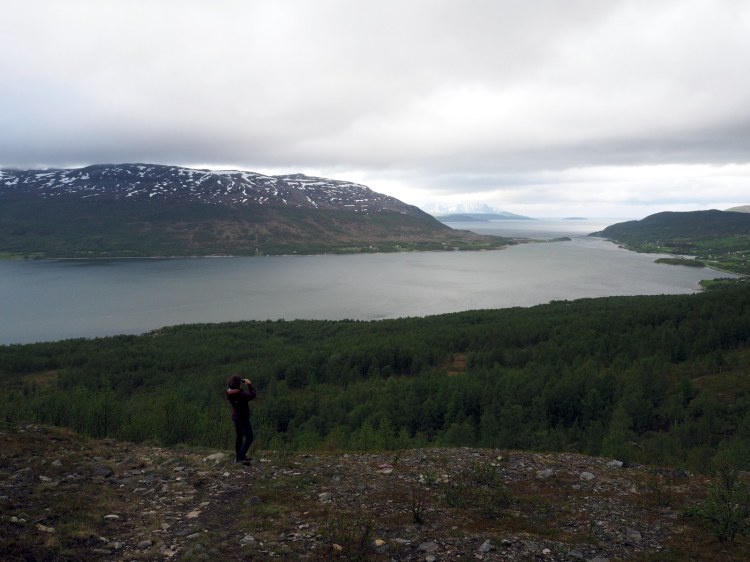 Надо фотографировать!