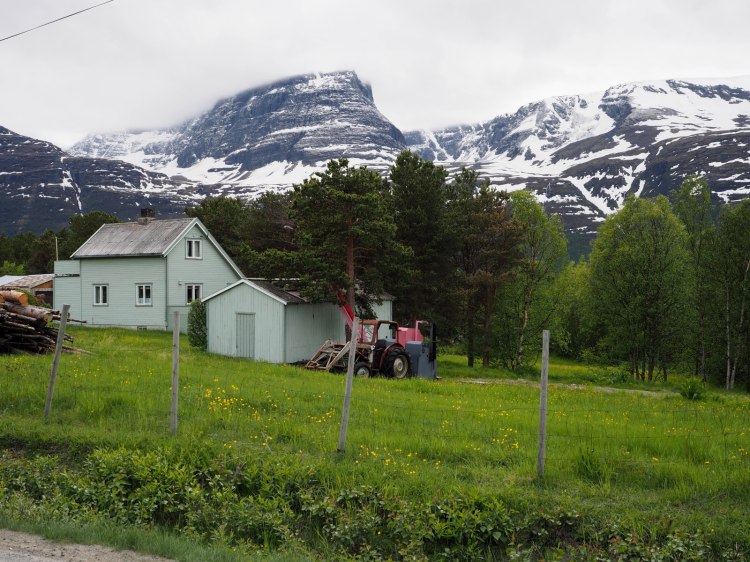 Жизнь под скалой