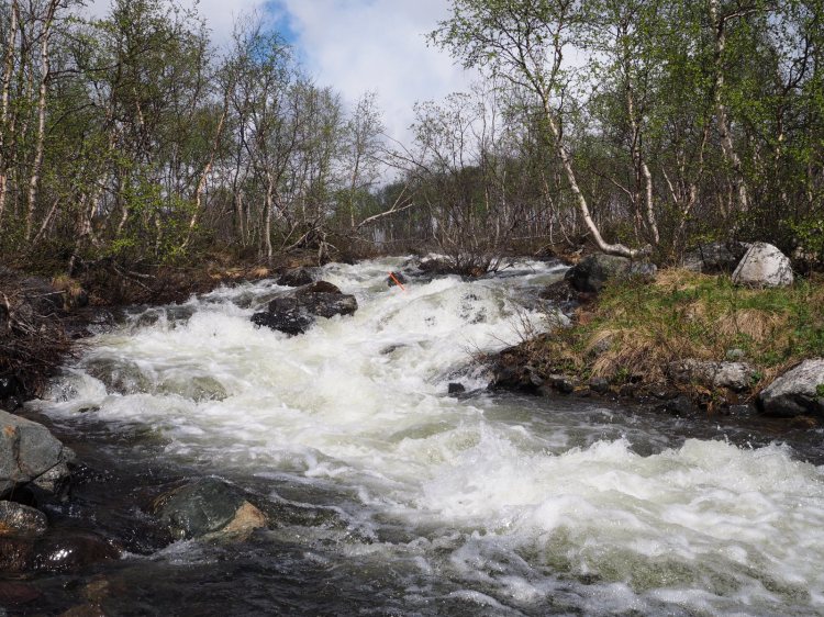 Горный ручей