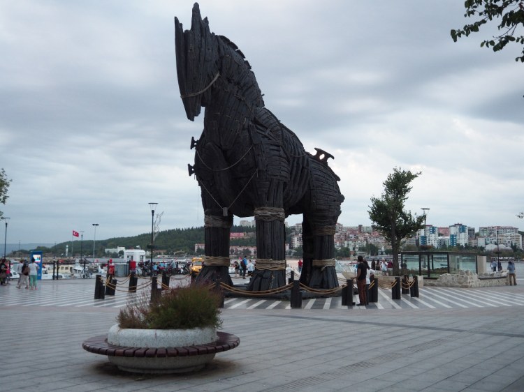 Конь. Из фильма