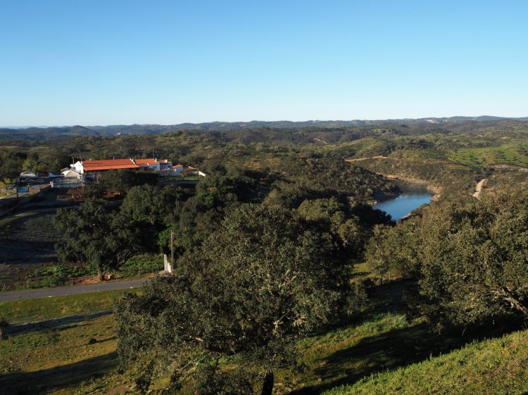 Пейзаж с рестораном