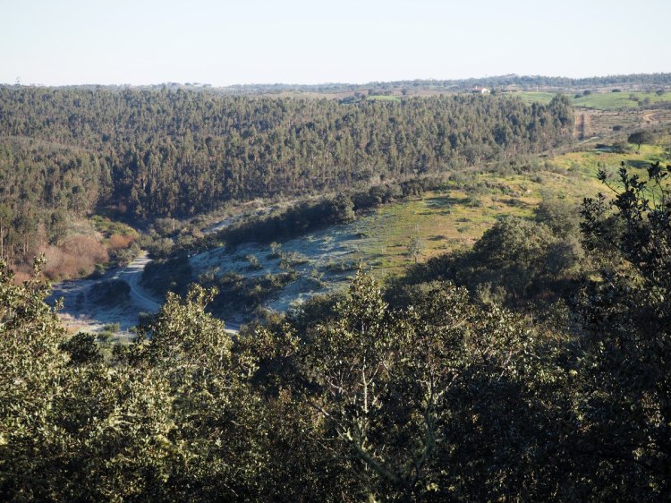 Оттаивающая земля