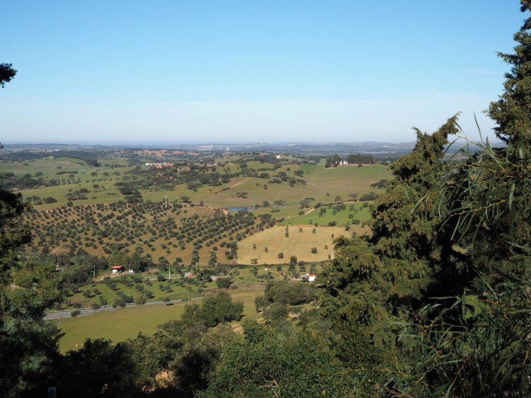 Окрестности