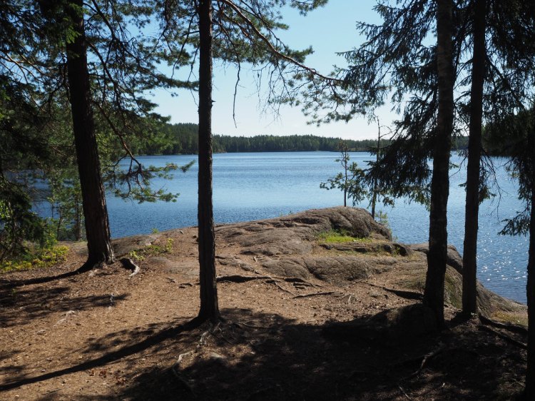 Каменистый берег