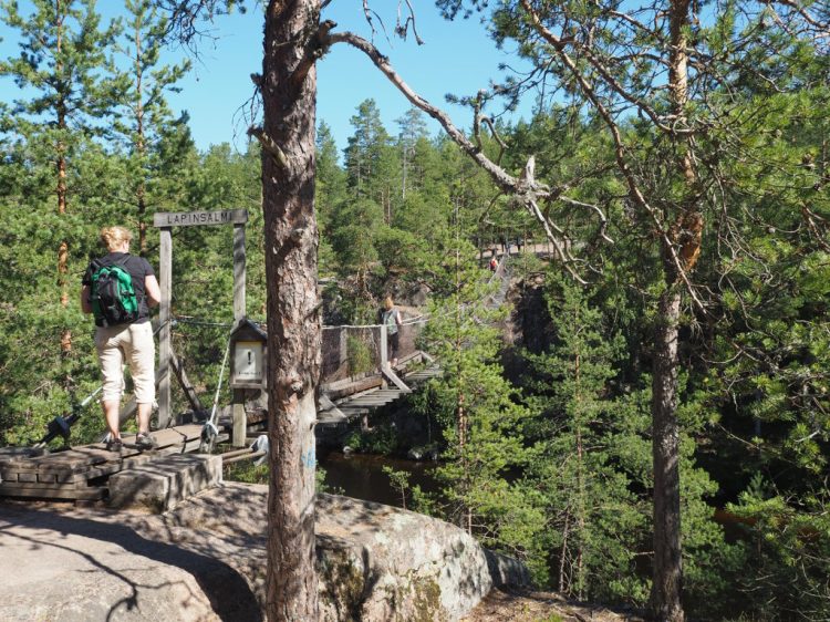 Подвесной мост