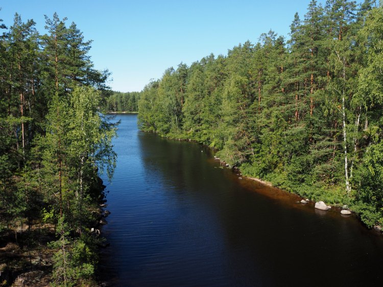 Вид с моста