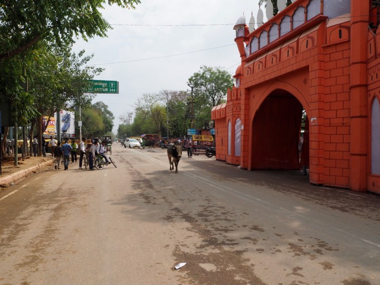 Прогуливающийся коров